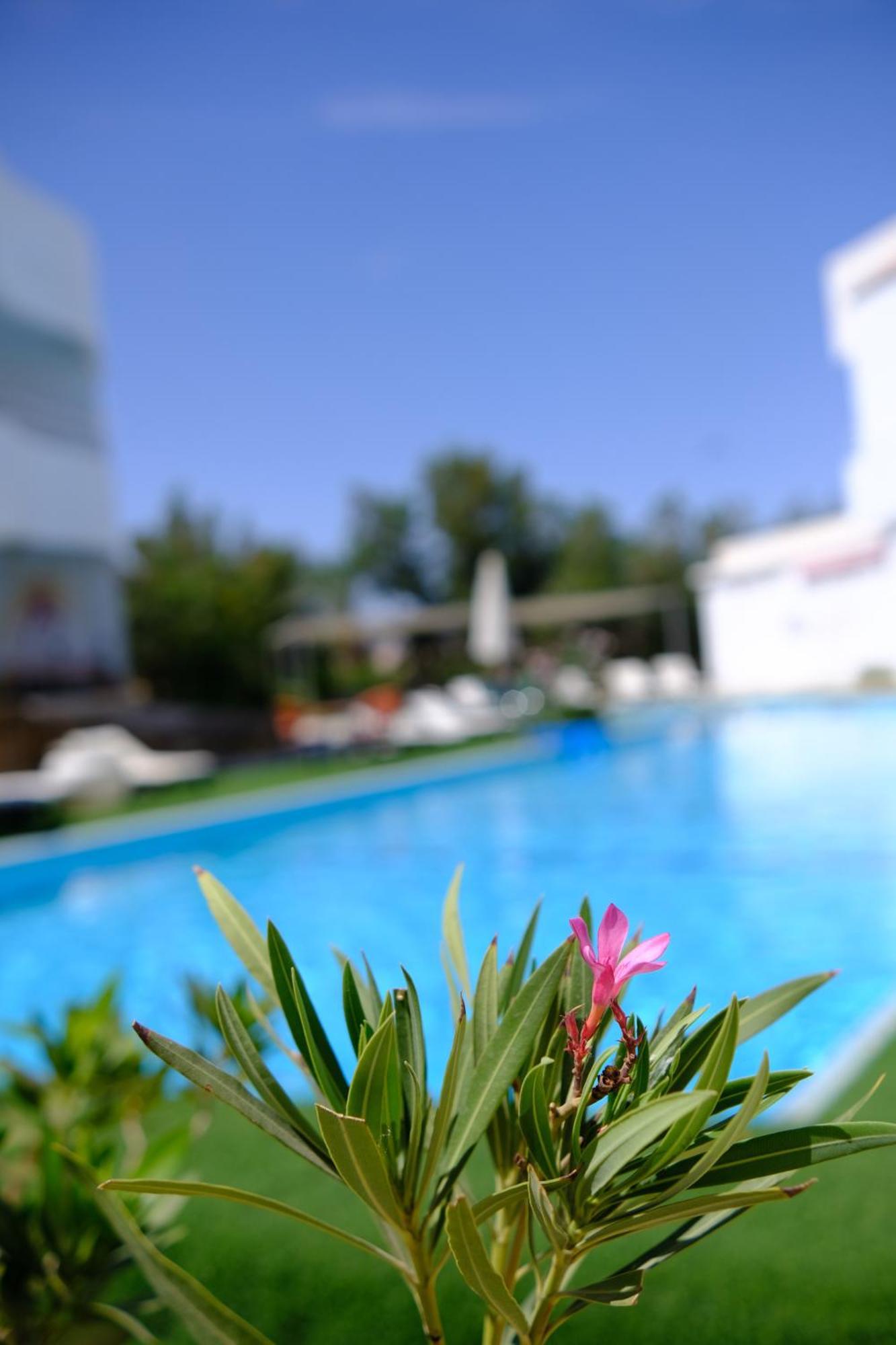 Viking Club Hotel Sharm el-Sheik Eksteriør bilde